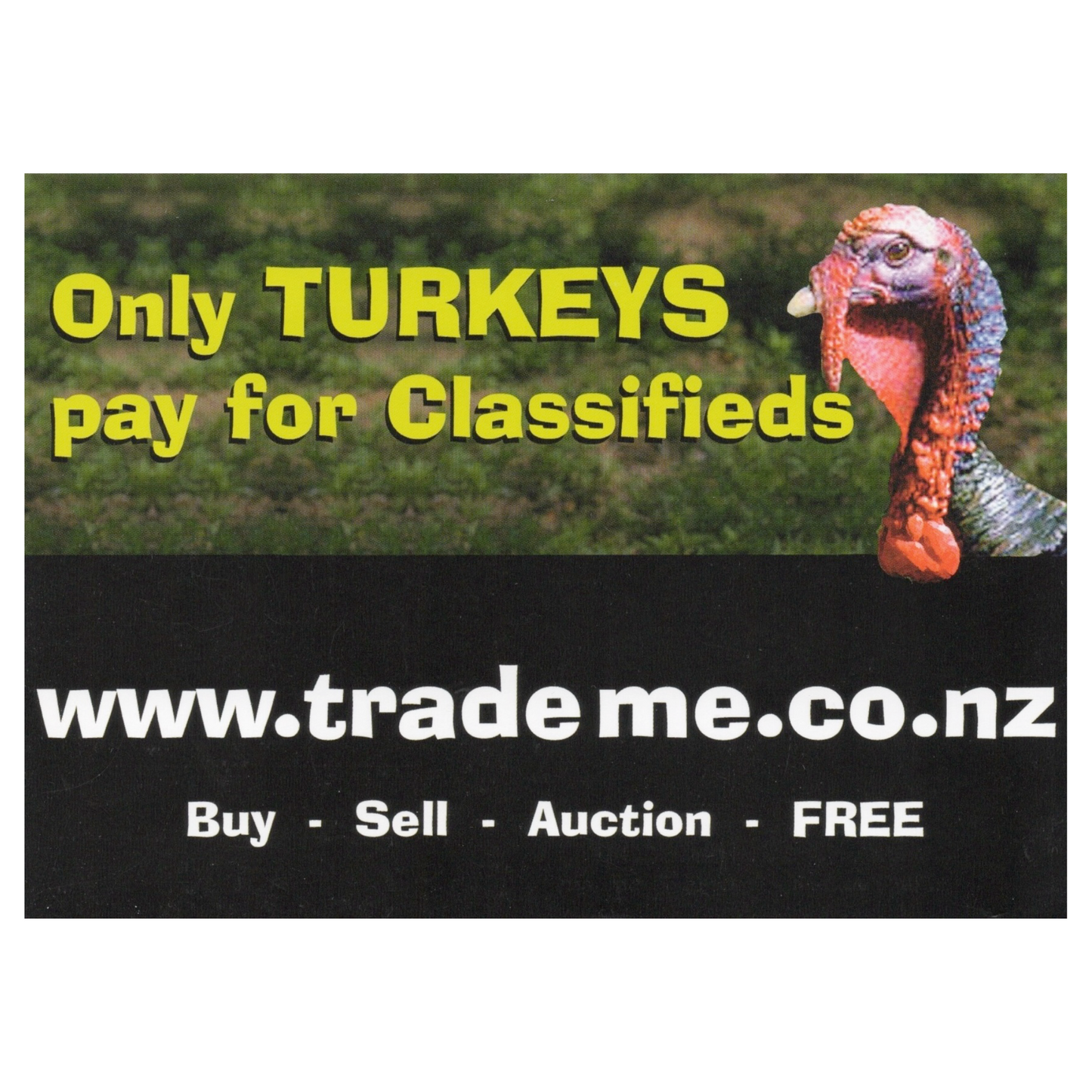 Only Turkeys Pay For Classifieds Bundle